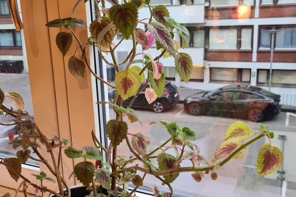 Smart Near Vigeland Park Apartment Oslo